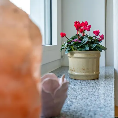 Piano Apartment *
